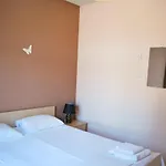 Canal Luxury 尼坡帝